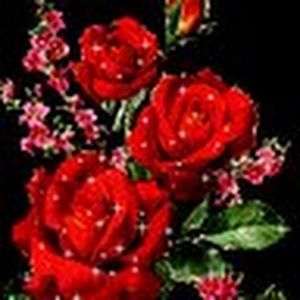 Meet your Posher, Debra